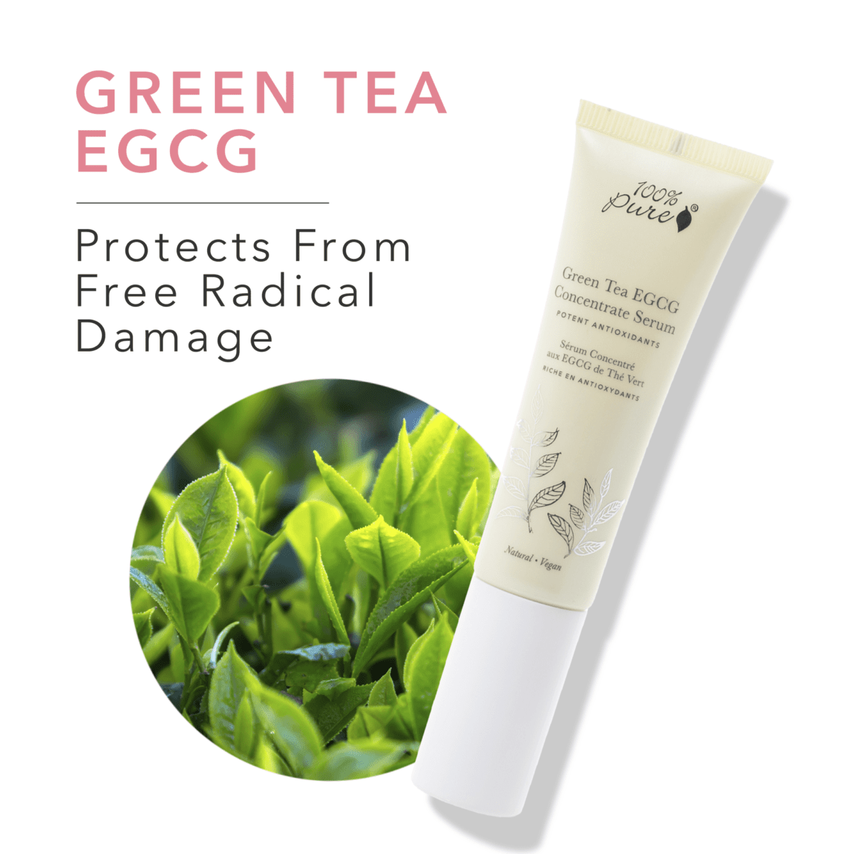 Green Tea Egcg Concentrate Serum Antioxidant Concerns