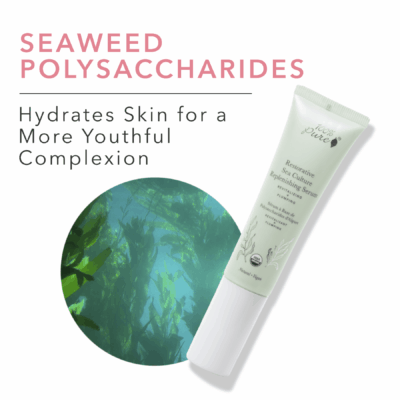 restorative sea culture replenishing serum hydrates skin