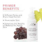 Luminous Primer Illuminates Skin Fruit Pigmented®Make Up 6