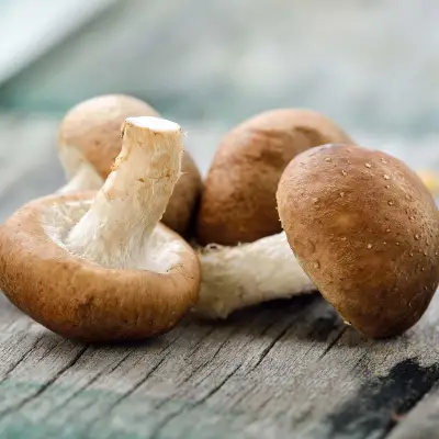 Mushroom Peptide Moisturizer All Skin Type Anti-Aging