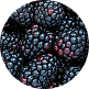 blackberry