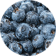 bilberry
