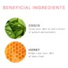 argan oil cleanser ingredient2