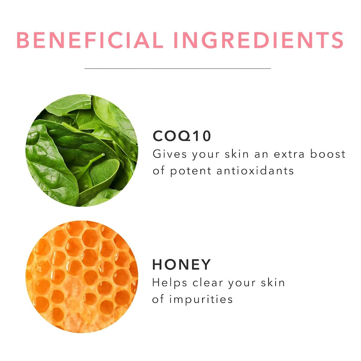 argan oil cleanser ingredient2