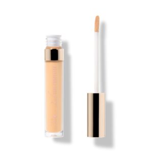 fruit pigmented 2nd skin concealer, shade 1