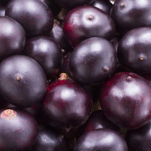 ACAI