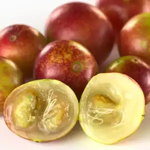 CAMU CAMU