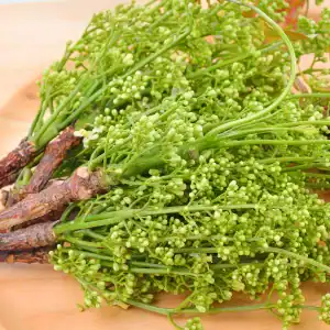 Neem leaf icon, traditional clarifying herb in the Pore Detox Herbal Cleanser