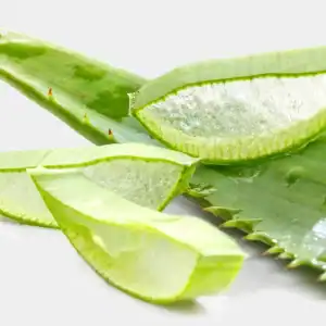 aloe
