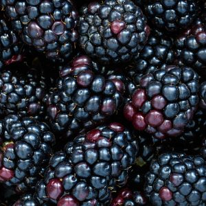 blackberry