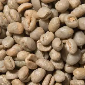 green coffee
