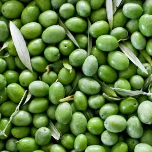 Olive leaf oil icon, antioxidant ingredient in the Pore Detox Herbal Cleanser