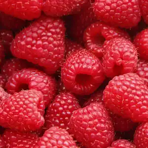 raspberry