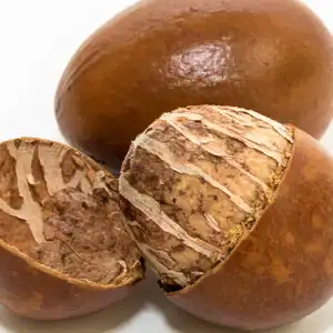 shea butter fruit