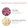 pore detox herbal cleanser ingredient